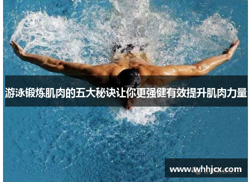 游泳锻炼肌肉的五大秘诀让你更强健有效提升肌肉力量