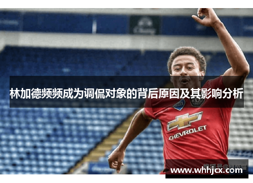 林加德频频成为调侃对象的背后原因及其影响分析